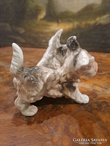 Original unterweissbach porcelain Scottish terriers