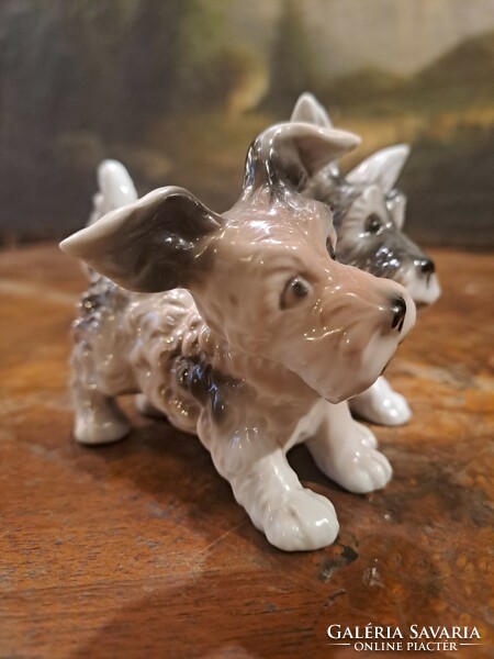 Original unterweissbach porcelain Scottish terriers