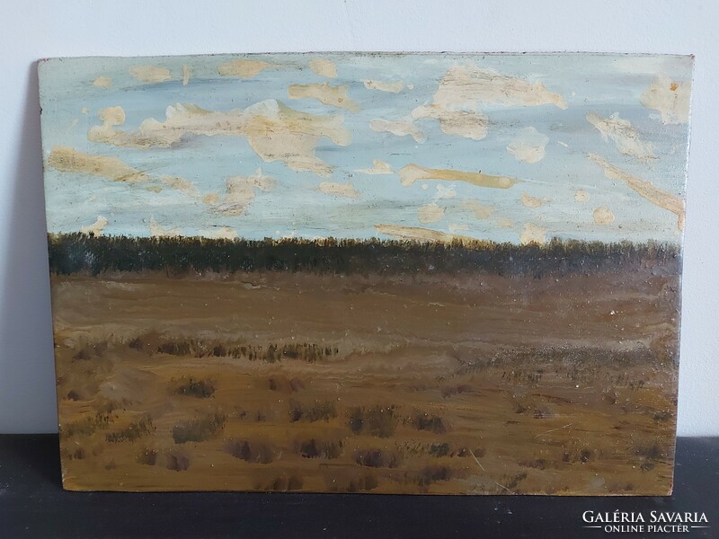 Unsigned painting - the artist is on a certain canvas ... Maybe - landscape ii. - 454
