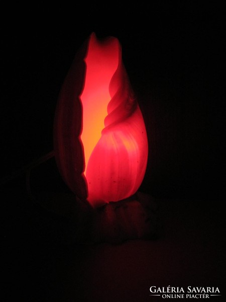Tengeri kagyló lámpa