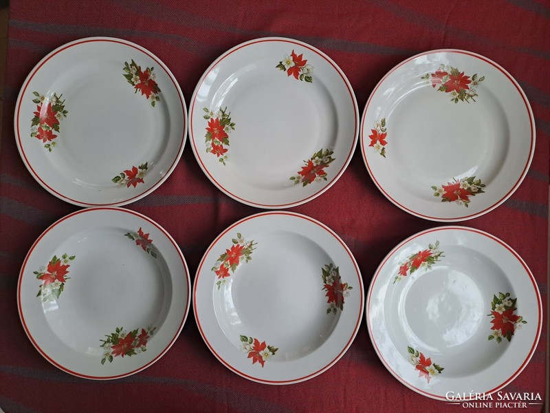 Flawless! Zsolnay poinsettia pattern, 3 pcs. Soup/deep plate and 3 pcs. A flat plate in one!