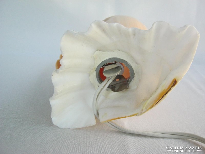 Sea shells lamp