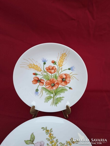 Collectors of beautiful Arzberg porcelain floral wall plates with poppies
