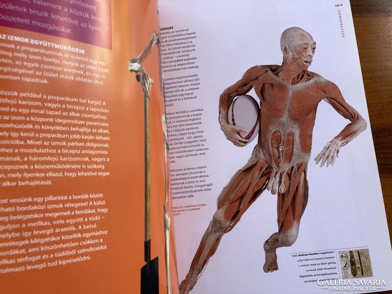 The human body - exhibition catalogue