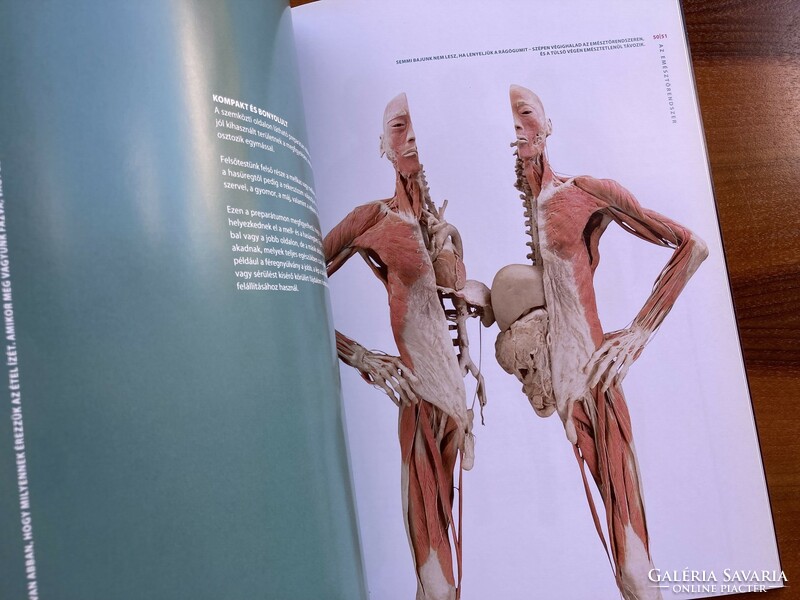 Az emberi test – kiállítási katalógus