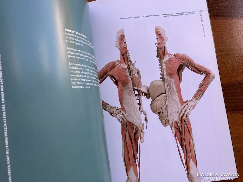 The human body - exhibition catalogue