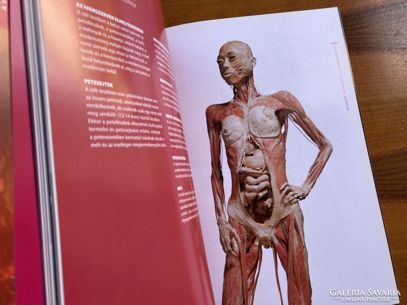 Az emberi test – kiállítási katalógus