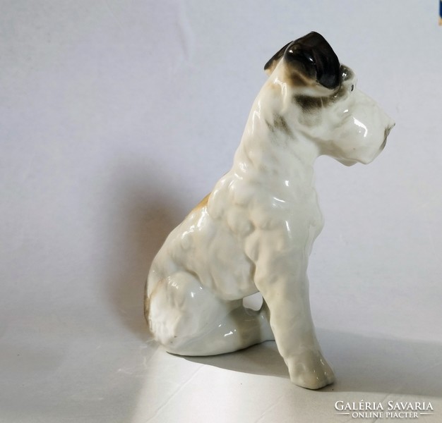 Porcelán terrier