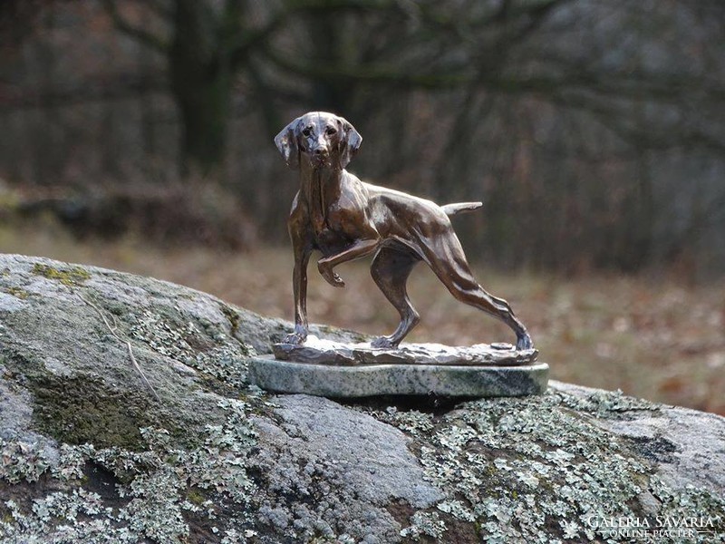 Hungarian Vizsla bronze statue