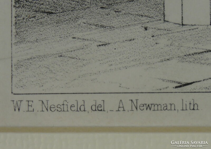 A. Newman : Francia katedrálisok Ourscamp