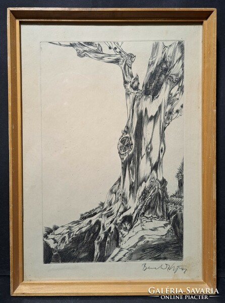 György Benedek: tree trunk - etching - natural image