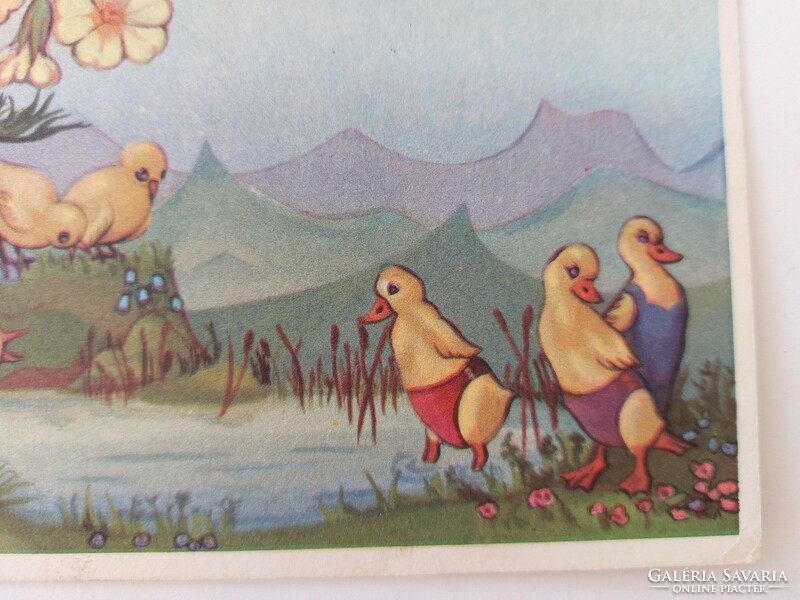 Old postcard 1960 postcard ducks