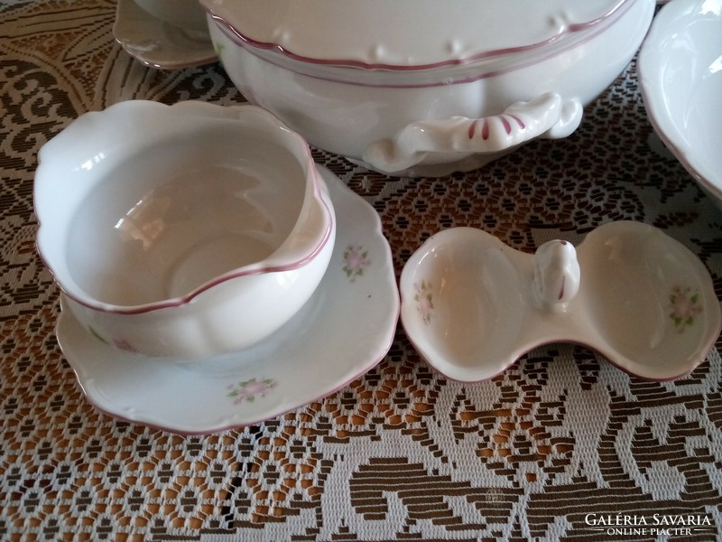 Gyonyoru meeting fo pieces of karlovarsky porcelain xx