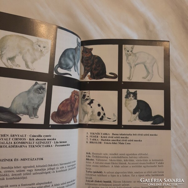 János Szinák - István Veress: cat guide idea 1989