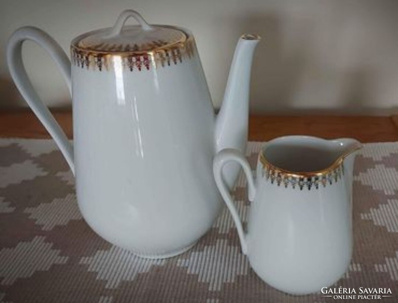 Elegant, old, Czech porcelain coffee set!