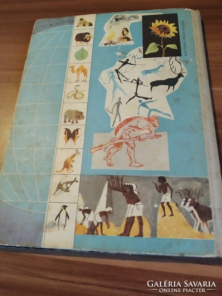 Dala László: Az élet útja a Földön, Gyermekenciklopédia, 1962