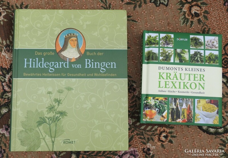 Das große Buch der Hildegard von Bingen - DuMonts kleines Kräuter-Lexikon. Anbau, Küche, Kosmetik, G