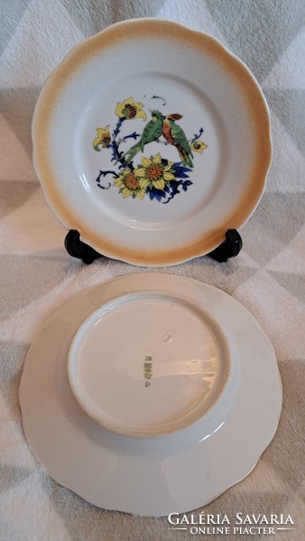 Antique Zsolnay bird porcelain plate (l3693)