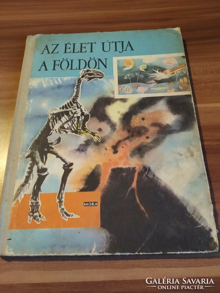 Dala László: Az élet útja a Földön, Gyermekenciklopédia, 1962