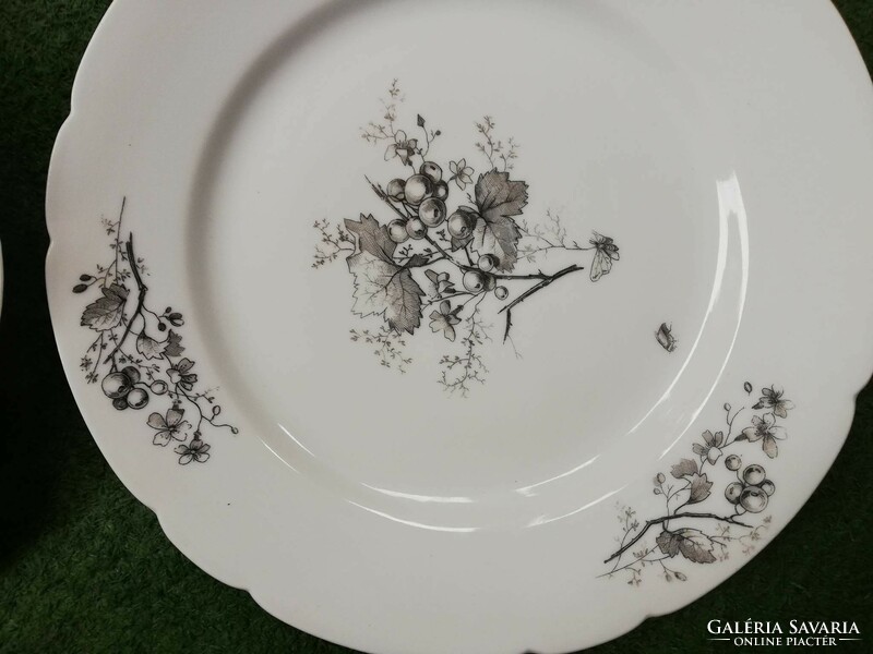 Antik Dallwitz porcelán tányérpár 1840 -1850