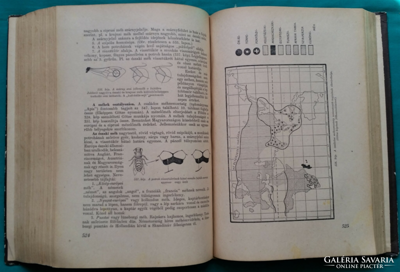 Zoltan Pál Örösi: between bees - . Agricultural publishing house, rare book on beekeeping!