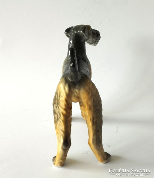 Old rare painted large raven house porcelain foxterrier dog figurine nipp