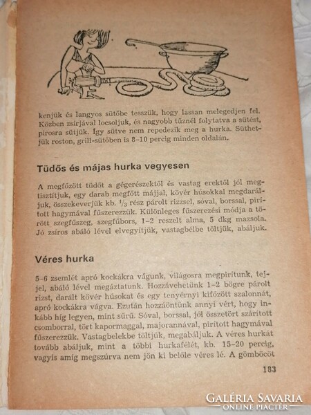 Horváth Ilona Szakácskönyv 1984.    2.