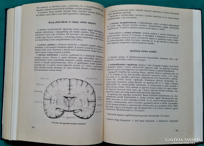 'Dr. Tibor Donáth: anatomy-physiology - medical textbook, third edition 1986 in leather binding