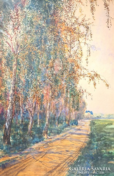 Autumn birch trees (old watercolor) 1910 - with raven mark