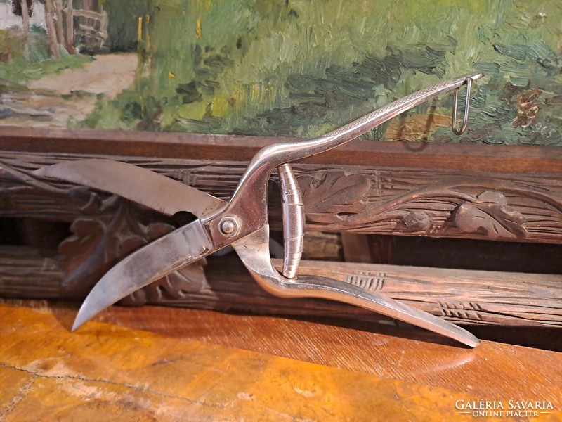 Antique sandrik chicken scissors, chopper