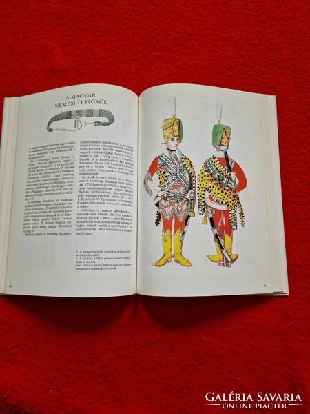 Zoltán Barczy, victorious Hungarian hussars from Somogy book