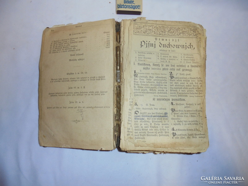 CITHARA SANCTORUM 1894 - egyházi, vallási könyv
