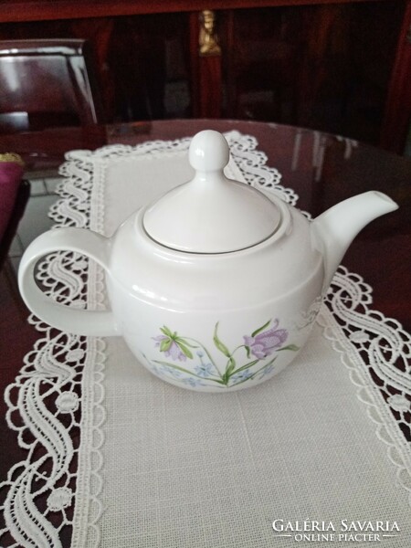 German Kahla porcelain coffee/tea pot - spout --- for Mother's Day!!