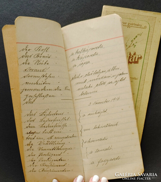 Szecessziós borítójú Rigler József Ede szótárfüzetek 1916-ból