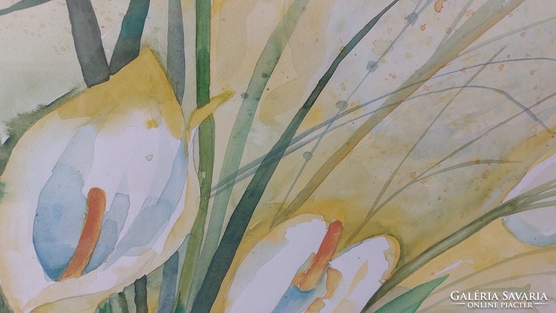 (K) Szép Kála virág festmény, akvarell 53x64 cm kerettel