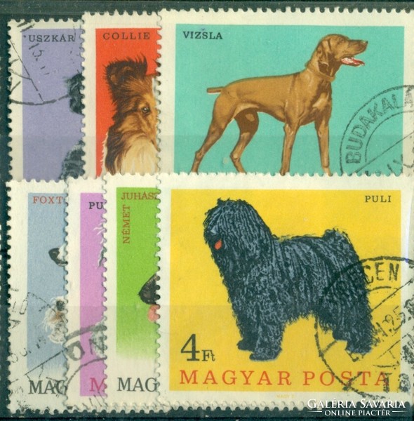 Hungarian dog breeds, sealed