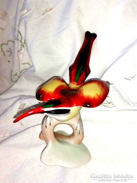 Aquincumi ritka, gyönyörűen festett madár 3.