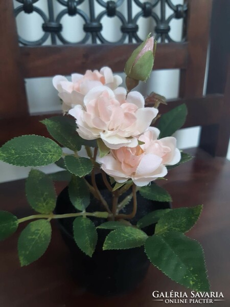 Nagyon szép cserepes rózsa - művirág kültérre is