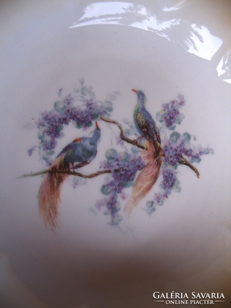 Epiag, porcelain bowl with birds