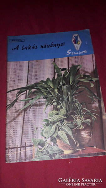 1969. SZÍNE - JAVA sorozat Szűcs Lajos :A lakás növényei könyv a képek szerint MINERVA