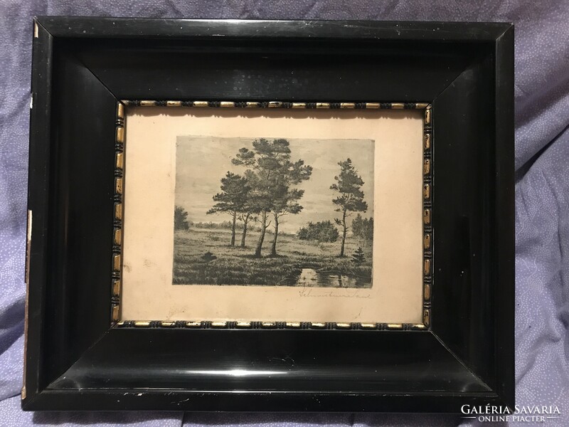 Antique etching in original frame with signature