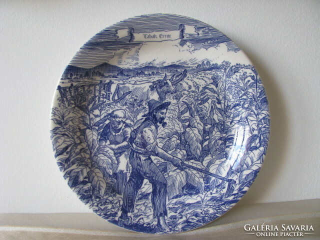 Ironstone porcelain wall plates