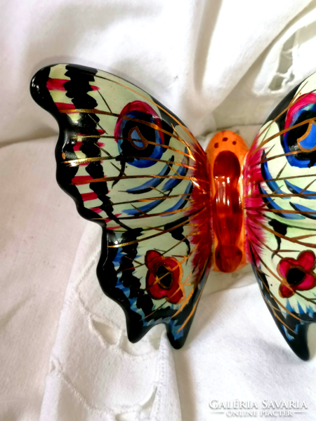Ritkább festésű Bodrogkeresztúri nagy méretű pillangó