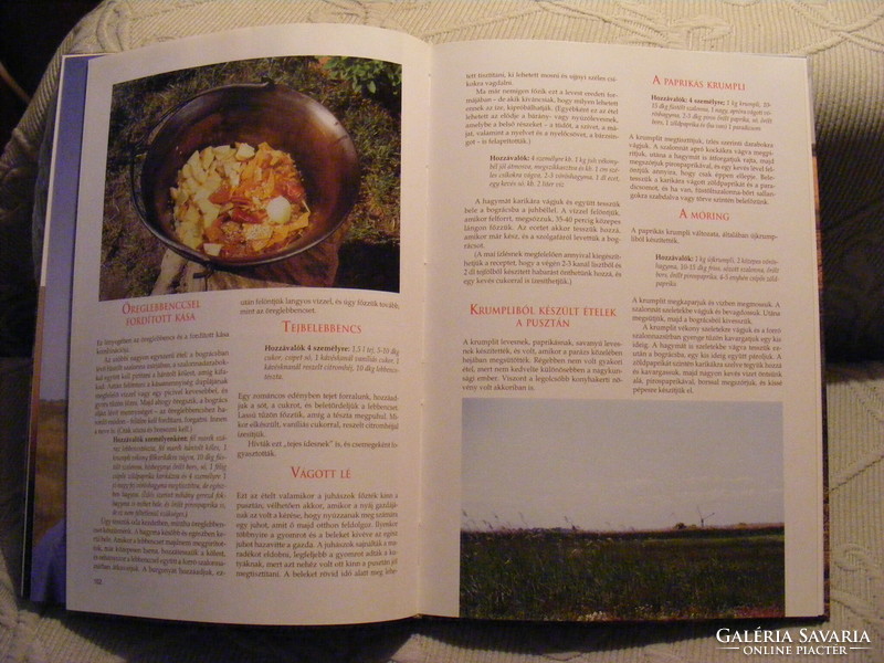 Great flavors - traditional and modern dishes - cs. János Károly-Oláh Kovács