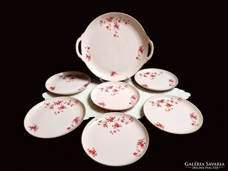 Johann haviland Bavarian pink porcelain cake set with peach blossom painting