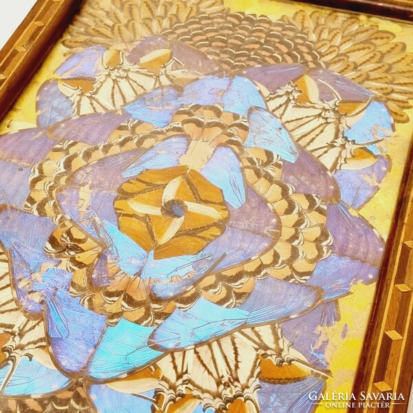 Special wooden tray decorated with butterfly and butterfly wings - ep