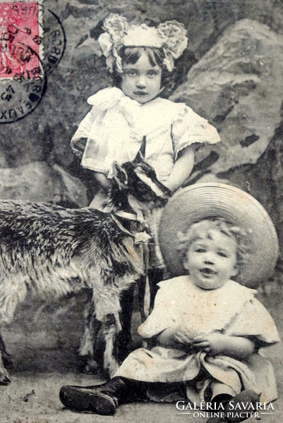 Antique photo postcard of small children with a goat