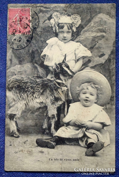 Antique photo postcard of small children with a goat
