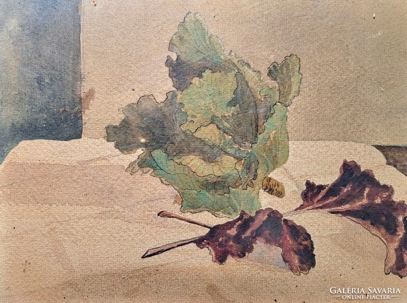 Cabbage - antique watercolor vegetable still life