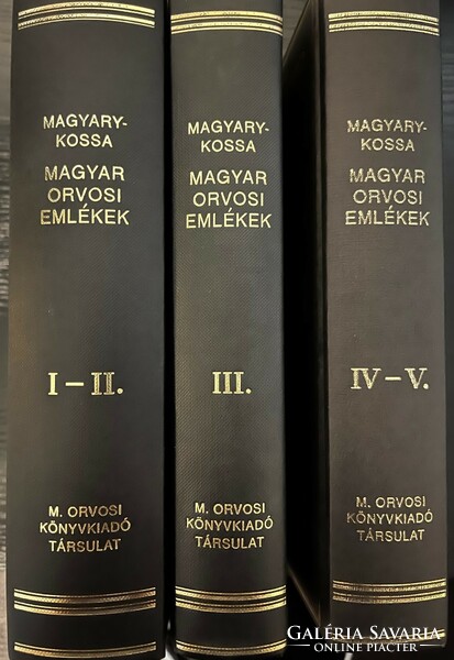 Reprint edition of Hungarian medical records in perfect condition